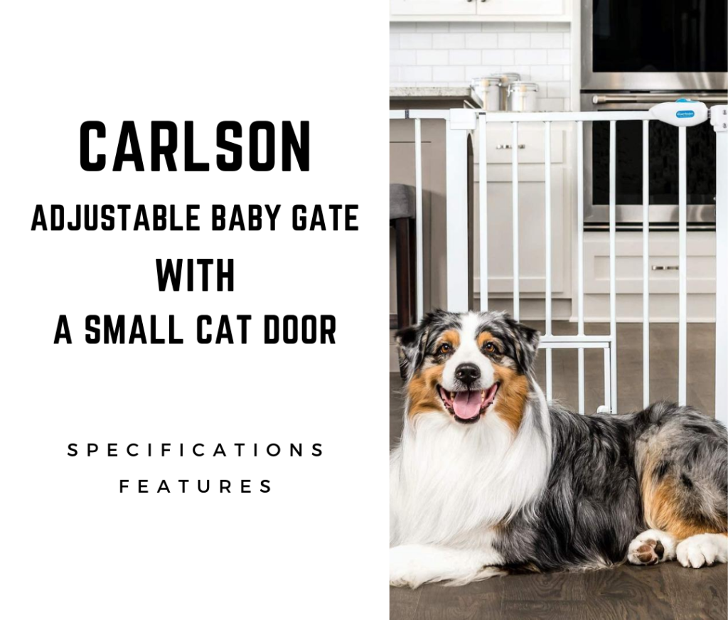 Carlson