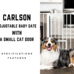 Carlson