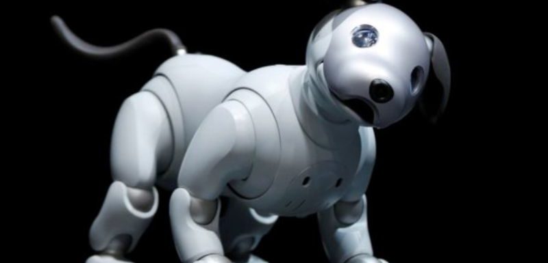 Best-Robot-Dog-toys