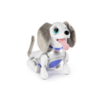 Zoomer-Playful-Pup
