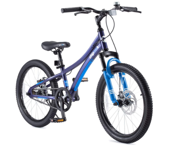 Royalbaby Mountain Bicycle