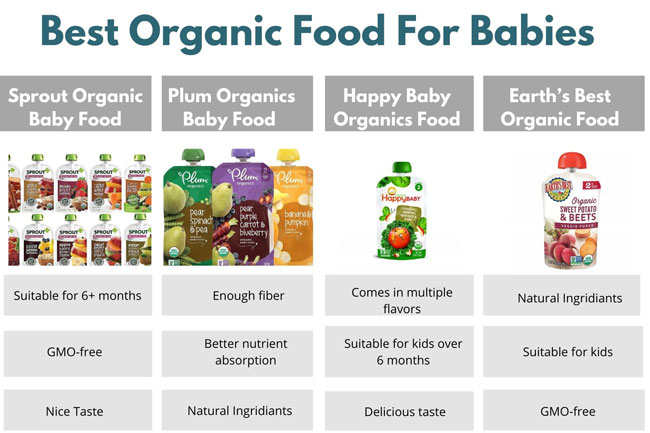 Best Organic Food For Babies