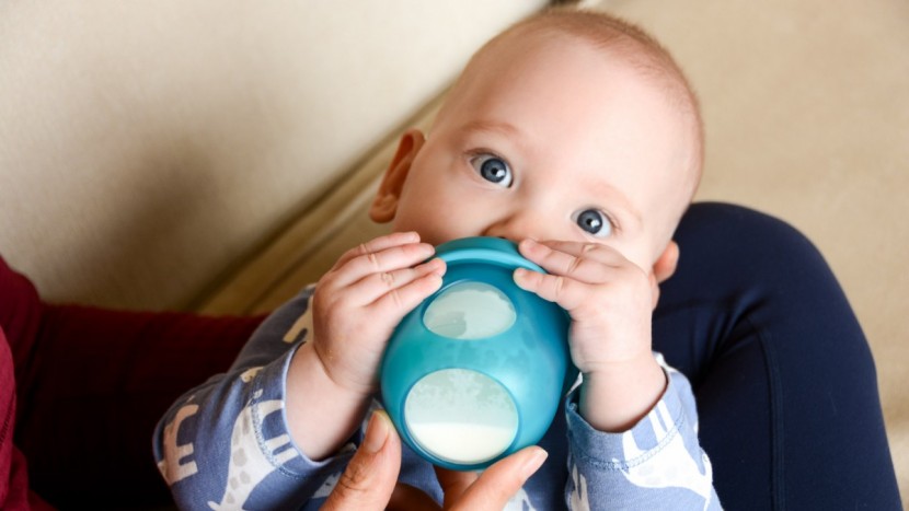 Best Baby Bottles Reviews