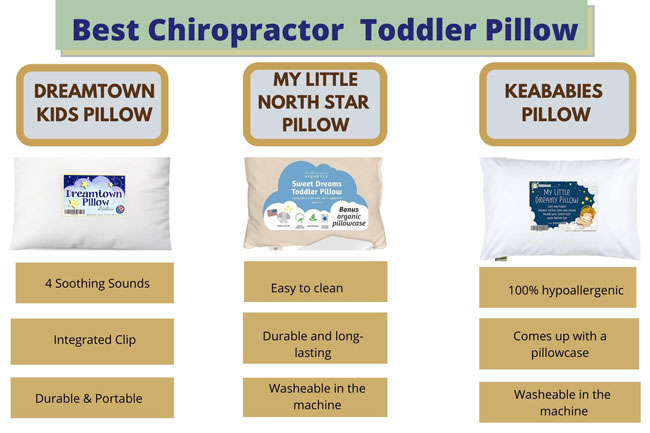 Best chiropractor Toddler Pillow