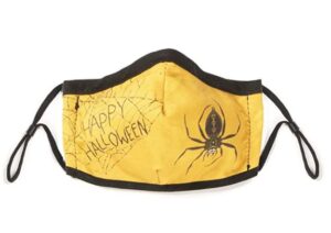 Halloween Kids Spider Web Cloth Face Mask