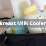 Best Breast Milk Cooler Bags