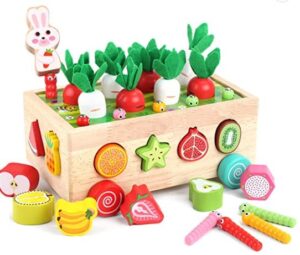 Montessori Toys 